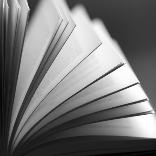 Book Launch Postcolonial Literatures in English: An Introduction